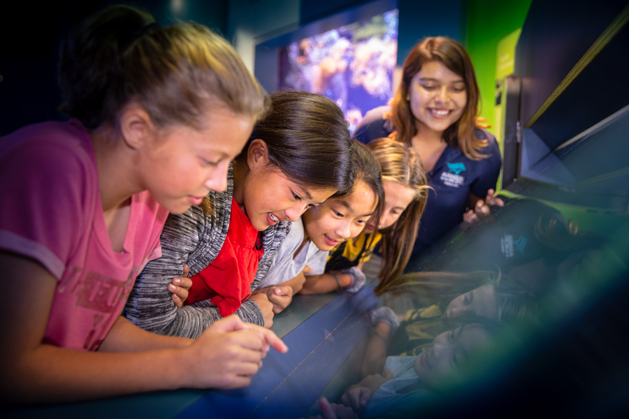 Kids looking into exhibit while instructor looks on