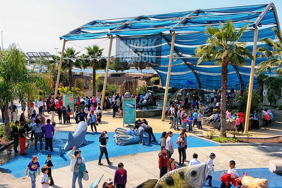 Shark Lagoon exhibit filled with people