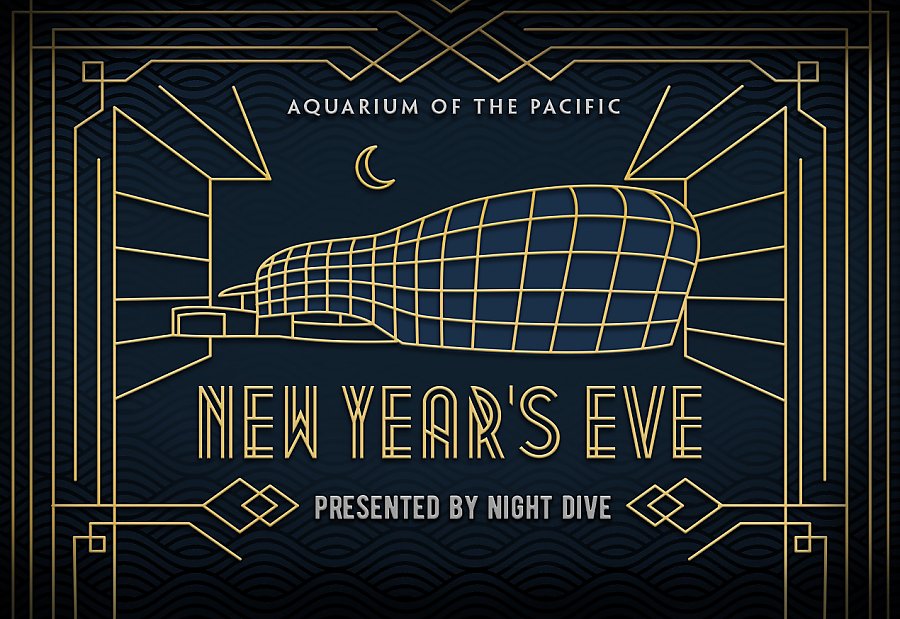 2021 New Year's Eve Night Dive logo