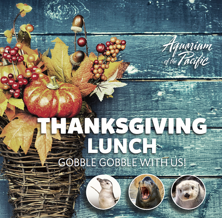 Thanksgiving Lunch Flyer