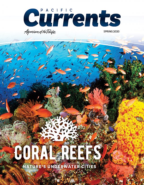Pacific Currents Spring 2020 Cover