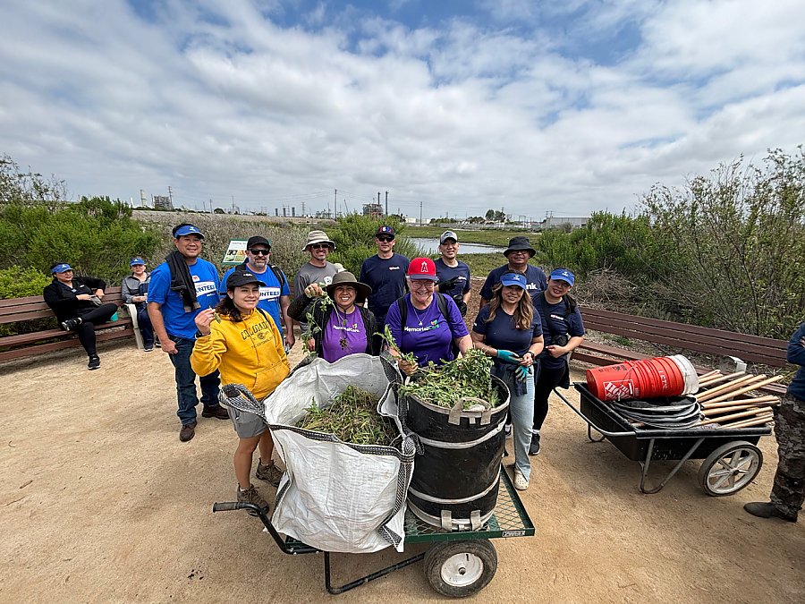 Group of people behind wheel barrows holding plants