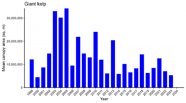 Giant kelp abundance