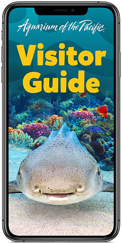 Aquarium Visitor Guide App with shark and coral reefs