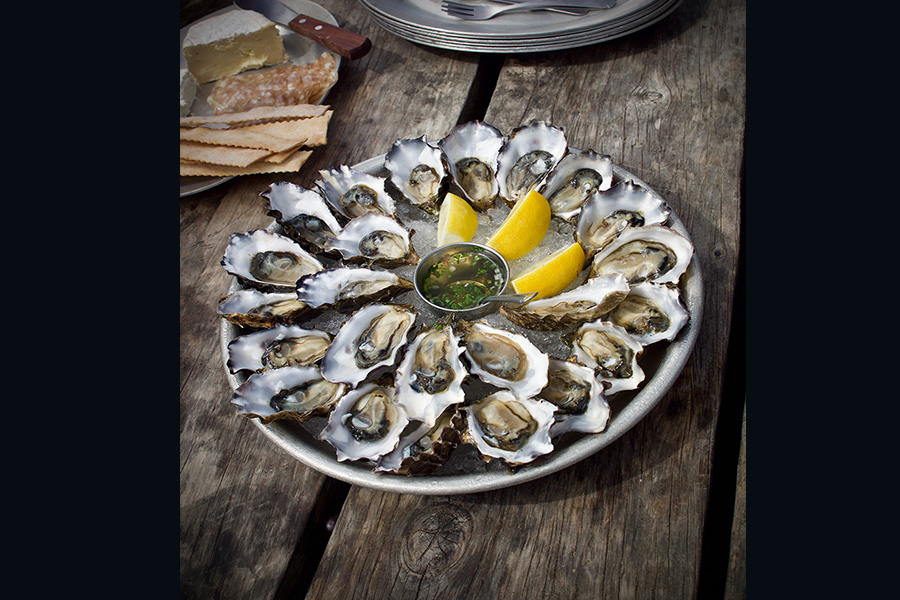 Oysters plated in a circle on a tray with lemons and mignonette sauce. 900x600 gallery
